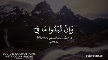 أواخر سورة البقرة || ستوري ديني || سالم الرويلي💛