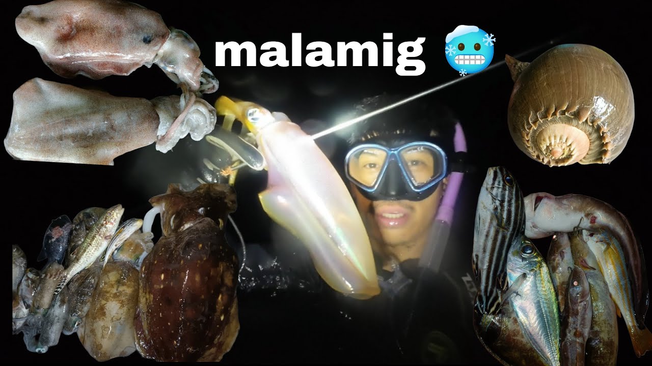 Night dive sa Malamig napanahon/ Ticao Island Masbate/ nagkapera sa bagulan pamana sa gabe