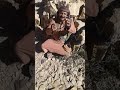 صمود الشعب اليمني صمود الشعب اليمني