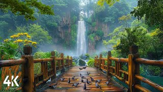 Feel The Peace In Ambience with Waterfall View - 4K Dreamy🌷Soft Bird & Waterfall Sounds for Healing screenshot 3