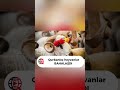 Qurbanlıq heyvanlar BAHALAŞDI! #qurbanbayrami #kesfet #xeber