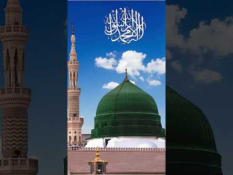 Rahmatu Lil Alamin Islamic Status Video Viral Viralshorts Shorts Tiktokeffects Flyxo 