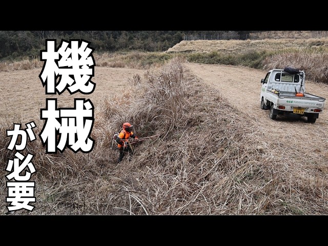 My thoughts after inheriting barren land and becoming a farmer