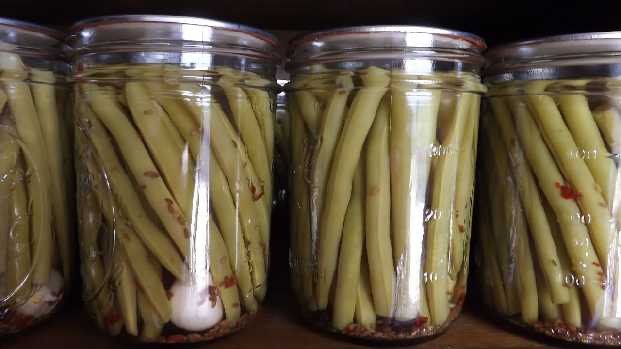 How To Can Dilly Beans YouTube