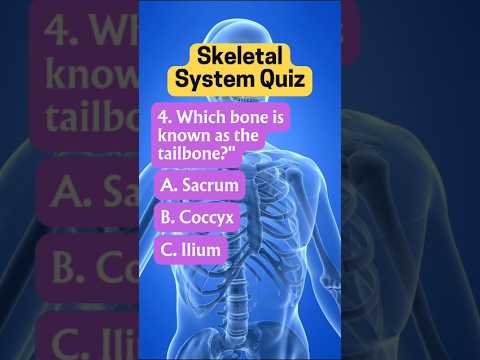 Learning The Bones Of The Body Worksheet