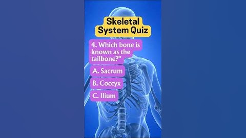 Skeletal System Quiz: Can You Answer These 5 Questions Correctly?