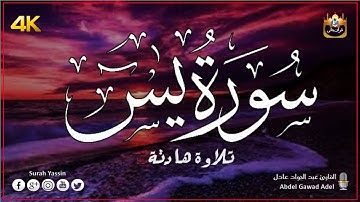 سورة يس كاملة مكتوبة تلاوة عذبة هادئة راحة وسكينة وهدوء l القارئ عبد الجواد عادل l Surah Yassin
