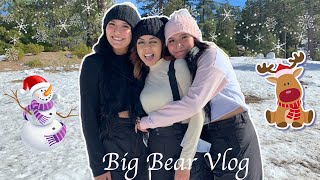 ROAD TRIP TO BIG BEAR!! *Sledding Gone Wrong!* Vlog #3