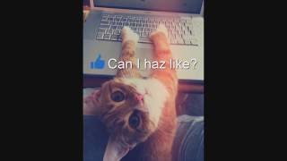 How To Download The Sims 4 And All Addons 2016 For Windows For Free