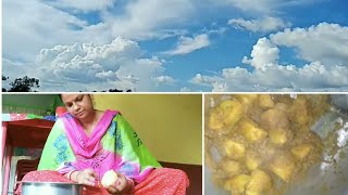 Saradin Ki Ki Kaj Korlam Bengali Vlog Of Dolon