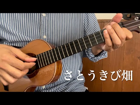 さとうきび畑【ソロウクレレ弾いてみた】Ukulelegarnet