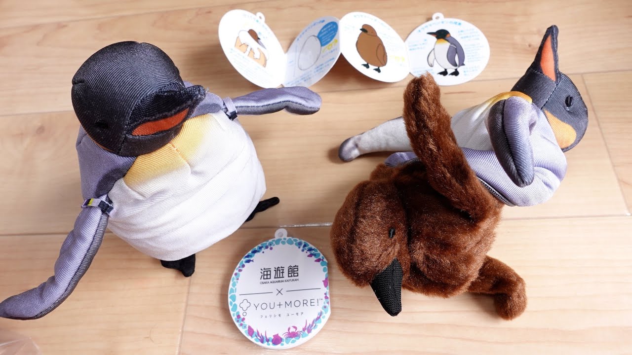 うみちゃん様 専用出品 海の“美”と“癒し”を優雅に楽しめる大人の うみちゃん様 専用出品 海の“美”と“癒し”を優雅に楽しめる大人の