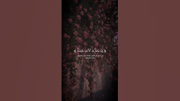 تلاوه من سورة البقرة|بصوت القارئ يوسف شاكر🎧♥️#trending #quran #قران_كريم #راحة_نفسية #قرآن