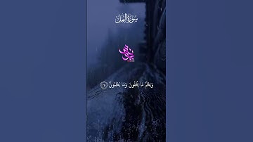 تلاوة هادئة من سورة النمل استمع وارتح