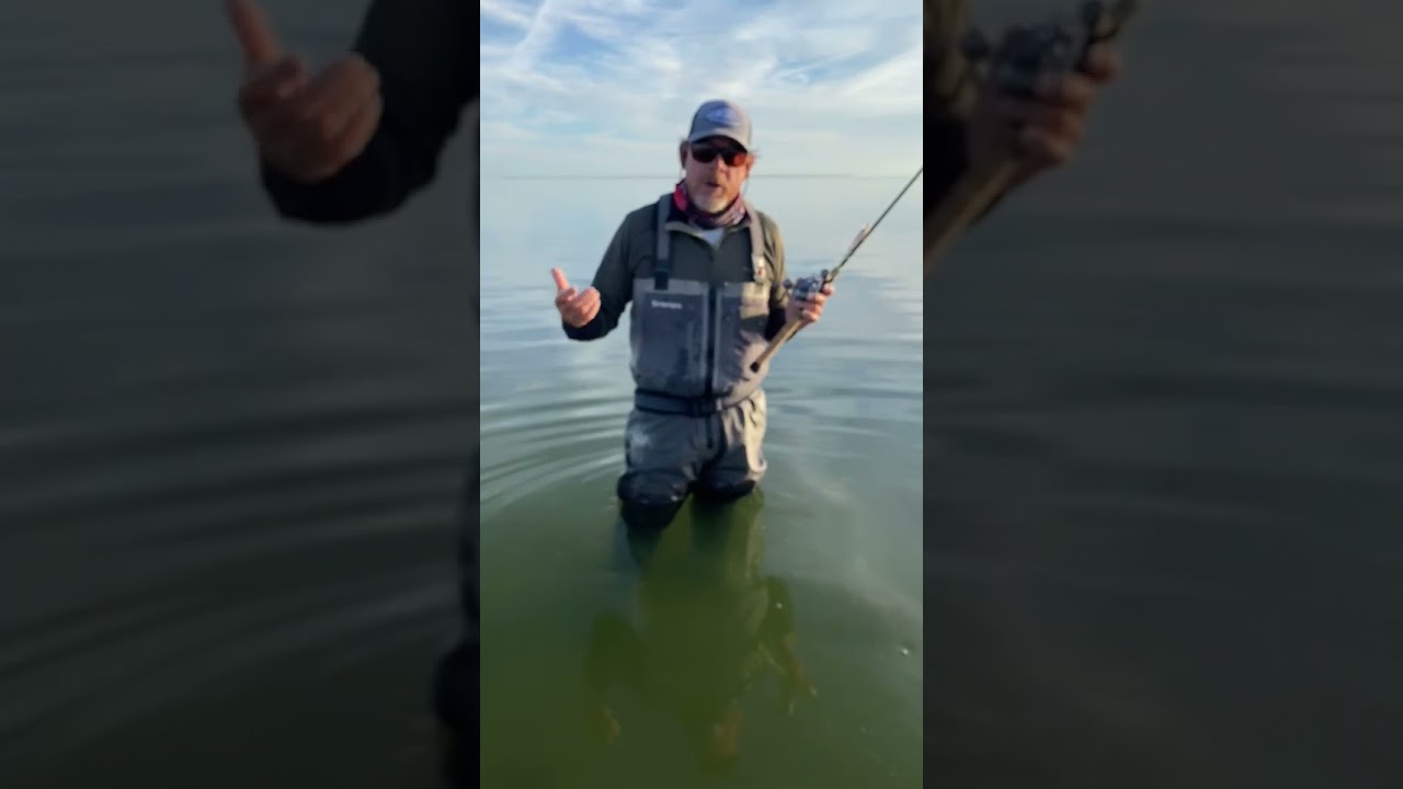 How to work a Double D Lure! Galveston Wade fishing - TWILLFISH