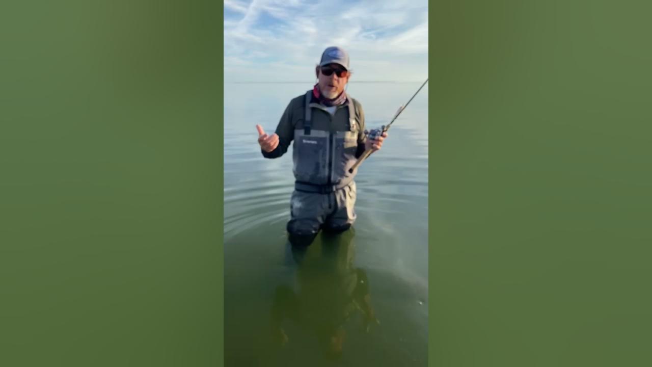 How to work a Double D Lure! Galveston Wade fishing - TWILLFISH