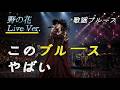 【戦慄】一度聴いたら忘れられない歌謡ブルース「野の花」Live Ver.|泣きのギター