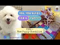 Ultimate Puppy Checklist + TIPS | Bichon Frise (TAGALOG) | Baxia the Bichon