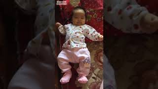 Video Ngắn, Vui Nhộn