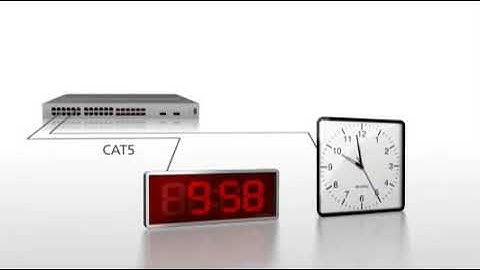 Sapling sistemas de reloj IP