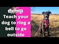 Teach your puppy to ring a bell to go outside  puppy toilet training