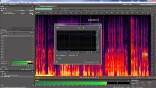 Adobe Audition -- Removing individual noises from audio clips Adobe Audition -- Removing individual noises from audio clips