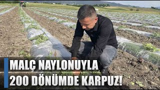 Çiftçi Malç Naylonuyla Karpuz Üretiyor Az Zarar Çok Kazanç Agro Tv Haber