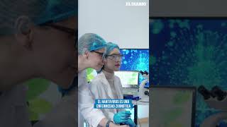 Nuevo hallazgo médico contra el hantavirus / El Diario