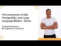 Text2SQL PostgreSQL &amp; Large Language Models for Data Query - Tolulade Ademisoye