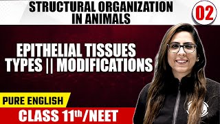 STRUCTURAL ORGANIZATION IN ANIMALS (PART 1) 02 | Epithelial Tissues, Types, Modifications | Zoology screenshot 2