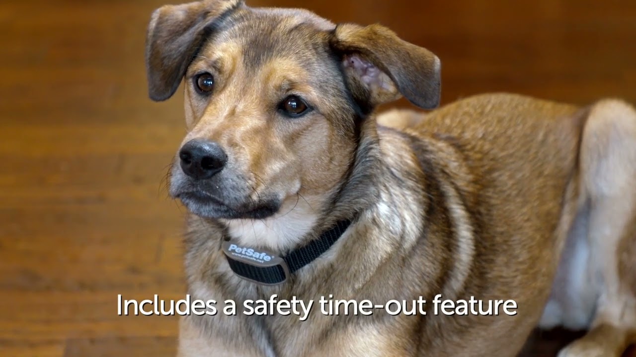 PetSafe® Pawz Away™ Mini Pet Barrier