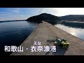 【釣り場動画#76】和歌山の一級釣りポイント衣奈漁港、青物・アオリイカ・根魚など、色んな場所から様々な魚が狙える面白い漁港