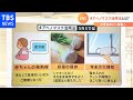 “アベノマスク”廃棄表明もネットで広がる活用法 「赤ちゃん」や「野菜」にマスク？【Ｎスタ】