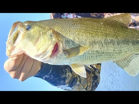 Bass Fishing with The Outdoor Man