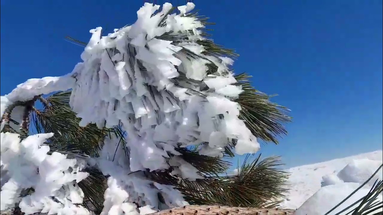 28 февраля 2026 г.