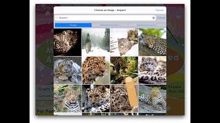 Word Wizard App - Assign images to words