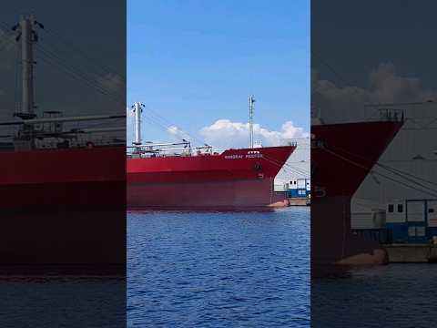WINDRAY REEFER - Wilhelmshaven 😍👍🌊 #cargoship #cargoshipping #cargoships #cargo #ship #ships #whv