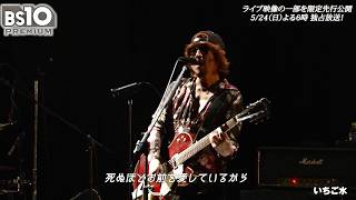 ブランキー「いちご水」“ベンジー”浅井健一が熱唱！『浅井健一GREAT
