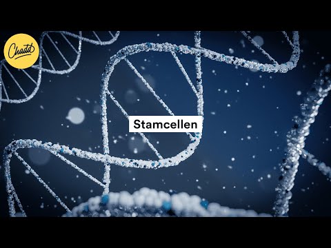 Video: Het volwassenes pluripotente stamselle?