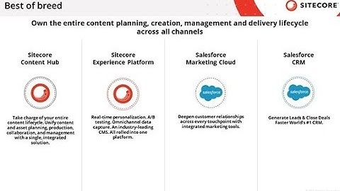 Sitecore & Salesforce in 300 seconds