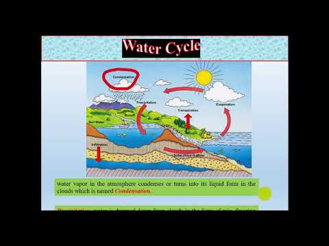 "Water Cycle" "វដ្តទឹក"