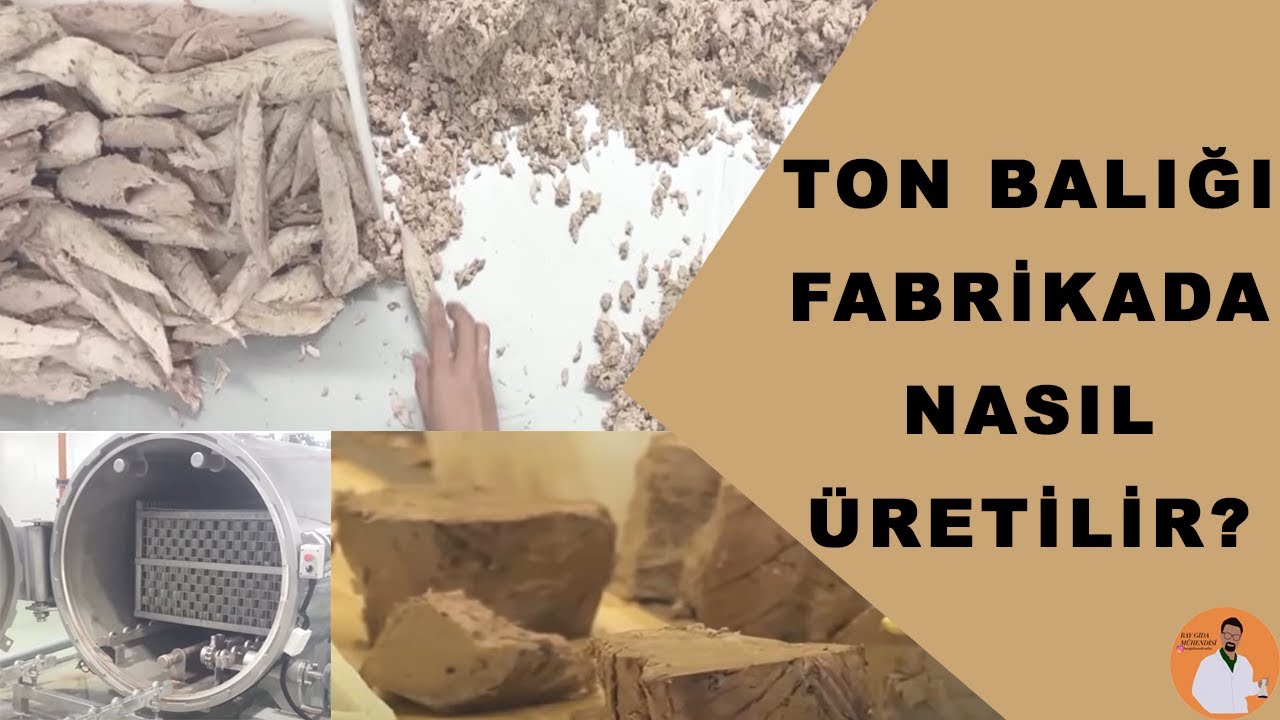 TON BALIĞI NASIL ÜRETİLİR? [MİLYON DOLARLIK FABRİKADAN #tonbalığı #üretim ]