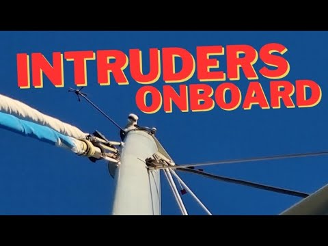 ⁣Intruders Onboard - Unwanted guests onboard sailing catamaran at Double Island Point Lagoon [Ep. 36]
