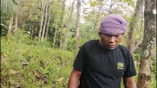 NGGOLEK,I SELANG BANYU BOCOR 