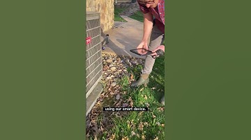 City Nature Challenge