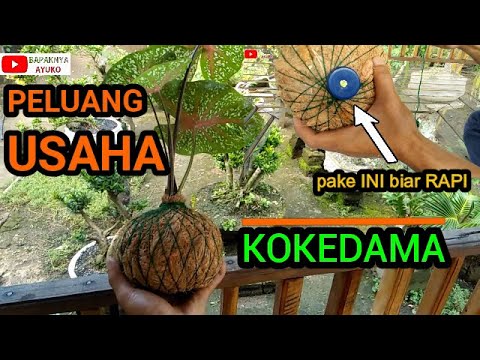 Video: Atur Suasana Segar Dan Tenang Dengan Titik Fokus Sofa Biru