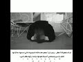 تاه احسابنه شنحسب عليمن تشرح وتـعتب دنيا وضــــاع بيها الزين ناس وعايشه بوجهـين حي