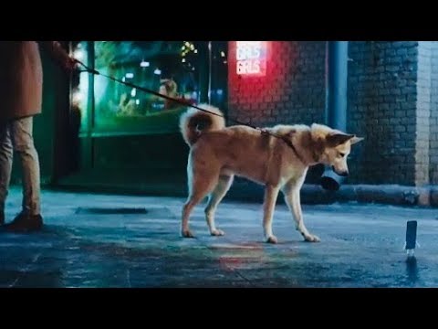 Что будет, если твой Honor 9 Lite оживет?