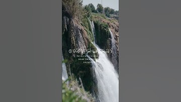 ان للمتقين مفازا #القران_الكريم #آيات #تلاوات #حالات #ستوريات #السعودية #quran #ayaat #foryou