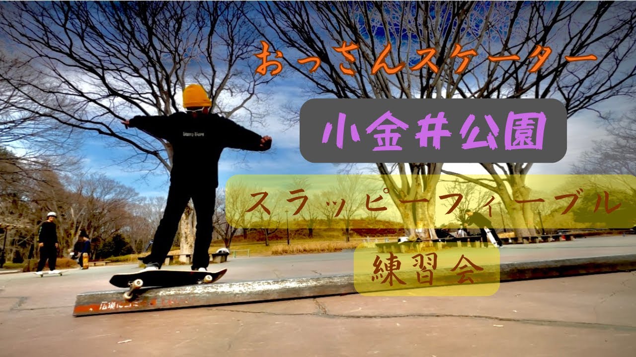 スラッピーフィーブルをやりたい#スラッピー#skateboardvibes #skateboarding 